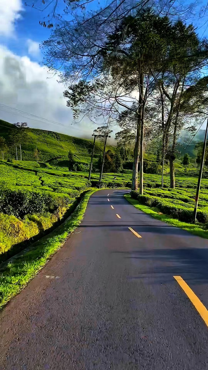 7 road trip vidéo