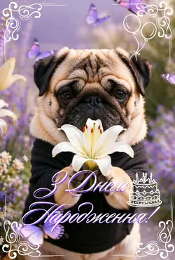 Birthday Card 4video