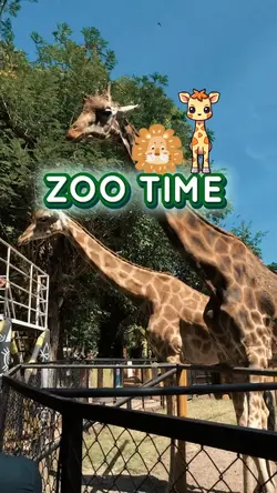 zoo time