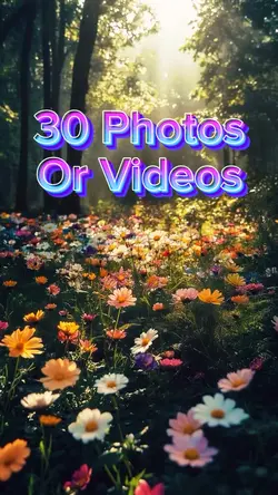30 Video Slides