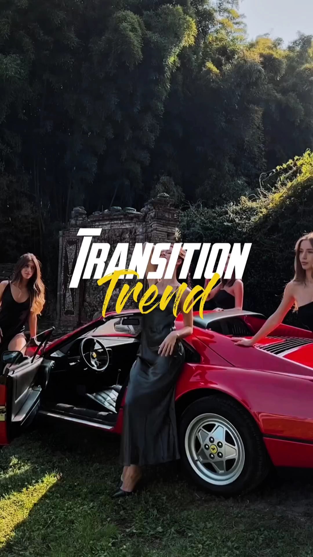 TRANSITION TREND