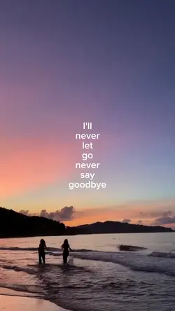 i'll never let go