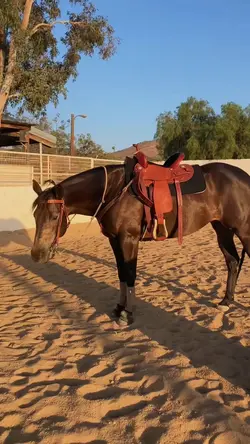 Guys de I’m buying a