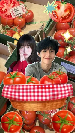 Keranjang tomat