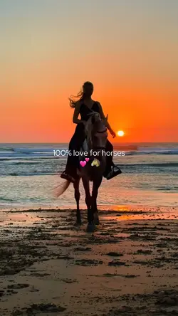 Love horses