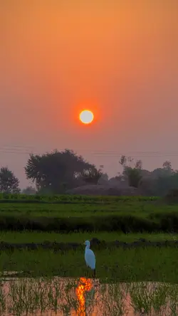 Punjab❤️‍🩹