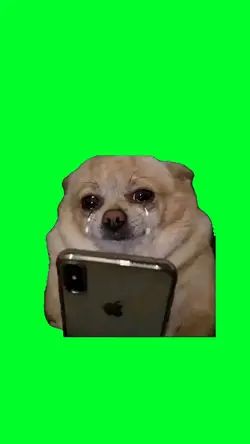 Dog crying
