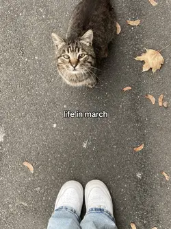 life in march 