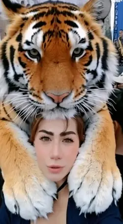 trend harimau viral