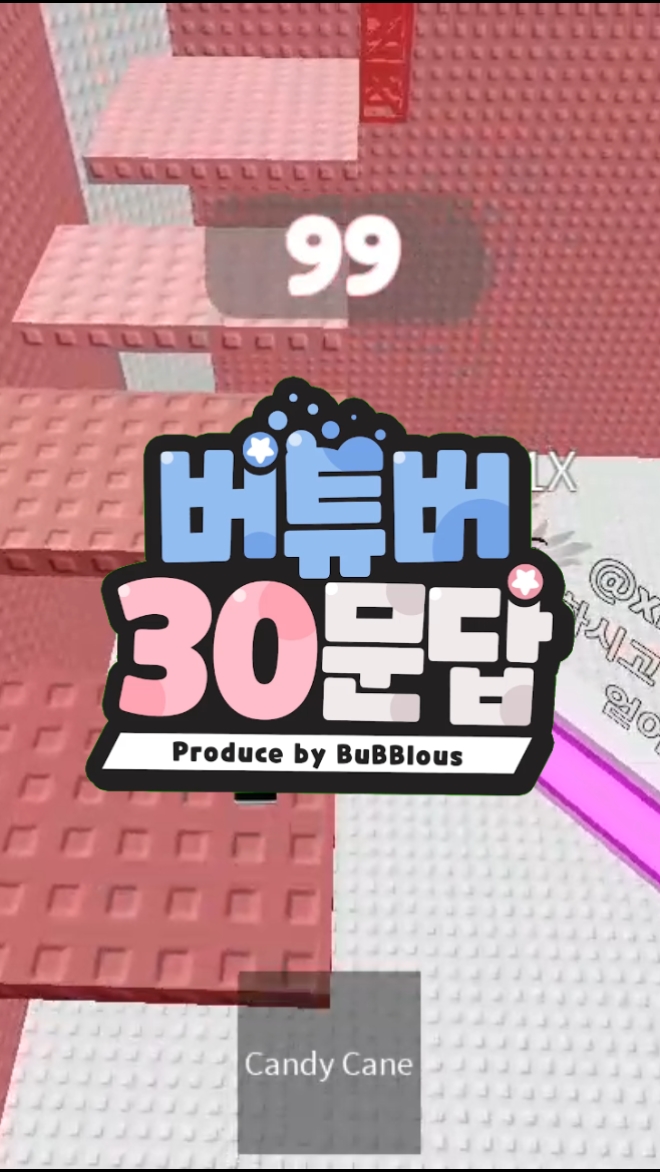 버튜버 30문답