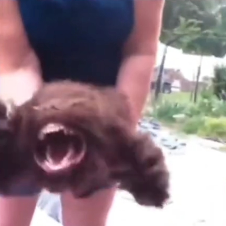 acting like a animal