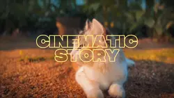 Cinematic story