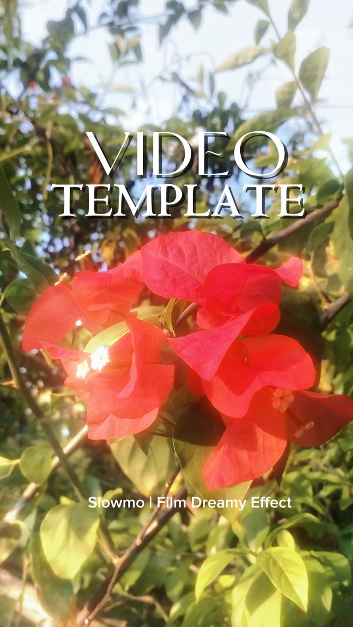 Template Film Mimpi