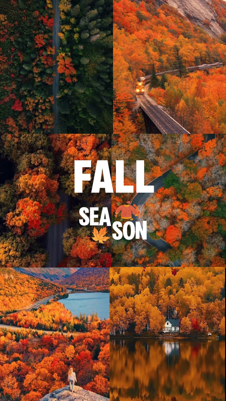 Temporada de otoño 
