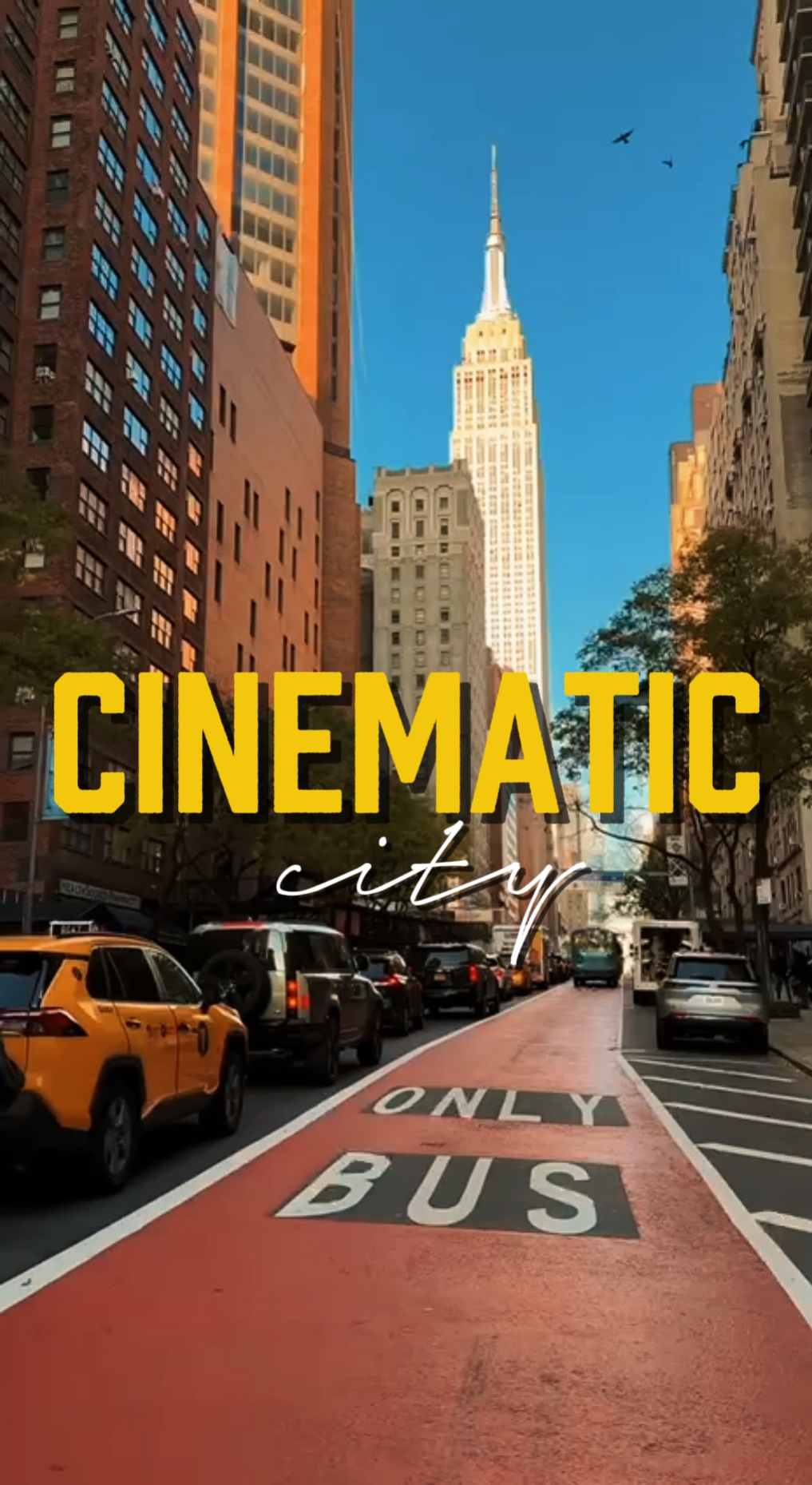 CIUDAD CINEMÁTICA