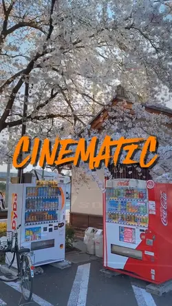 cinematic