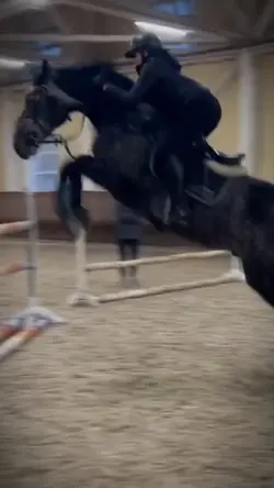 Horse riding Slowmo