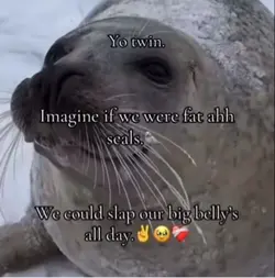 Fat ahhh seal