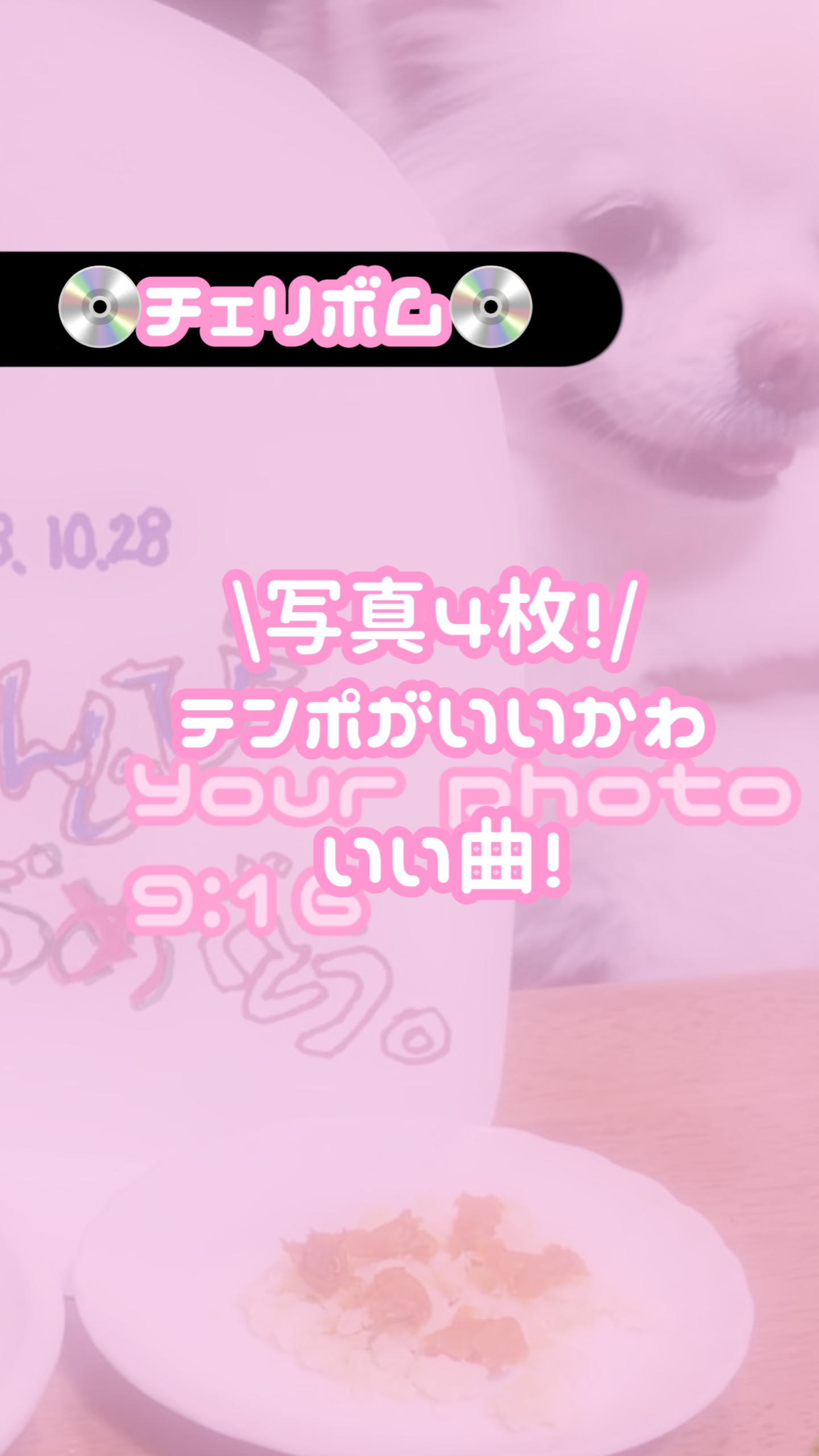 💿チェリボム💿