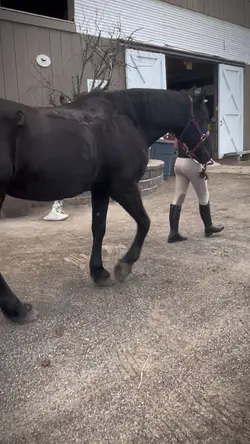 allmyheartcalls 🤍