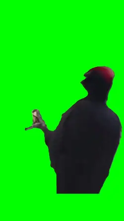 woodpecker pecking