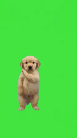 Goose Viral Dance 