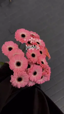 Mamá🌸✨💕