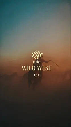 WILD WEST COWBOY