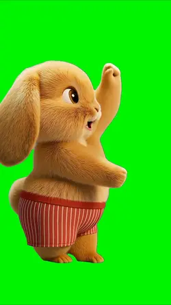 Cute Bunny Dance 