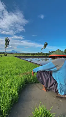1VID FILTER JERNIH