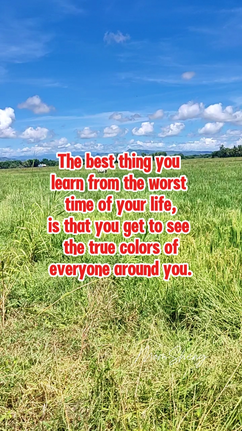 Warna asli