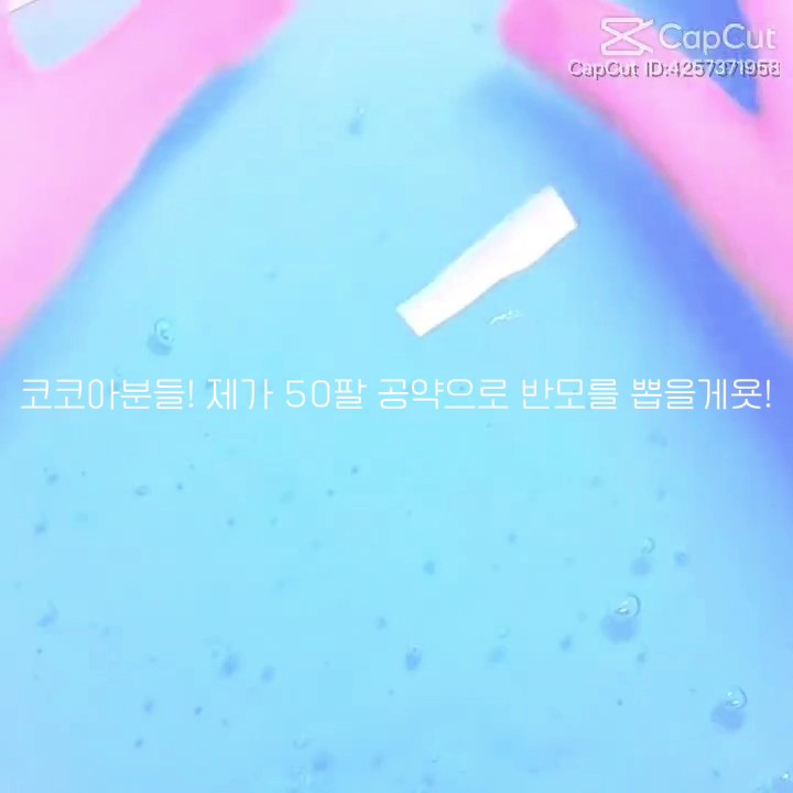 50팔 공약
