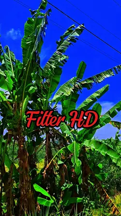 full saturasi HD