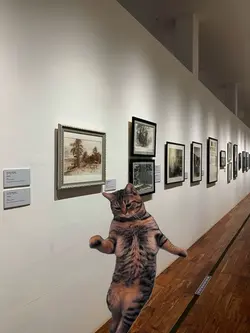 dancing cat