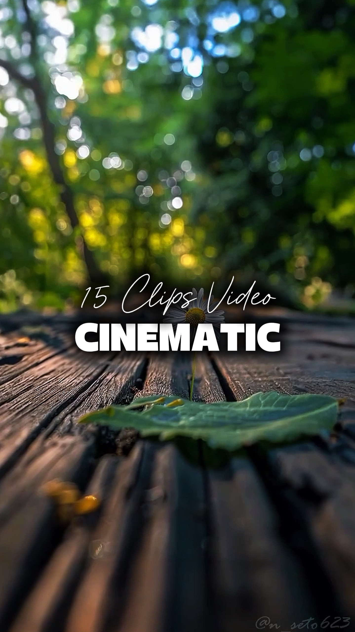 15 Videos Cinematic 