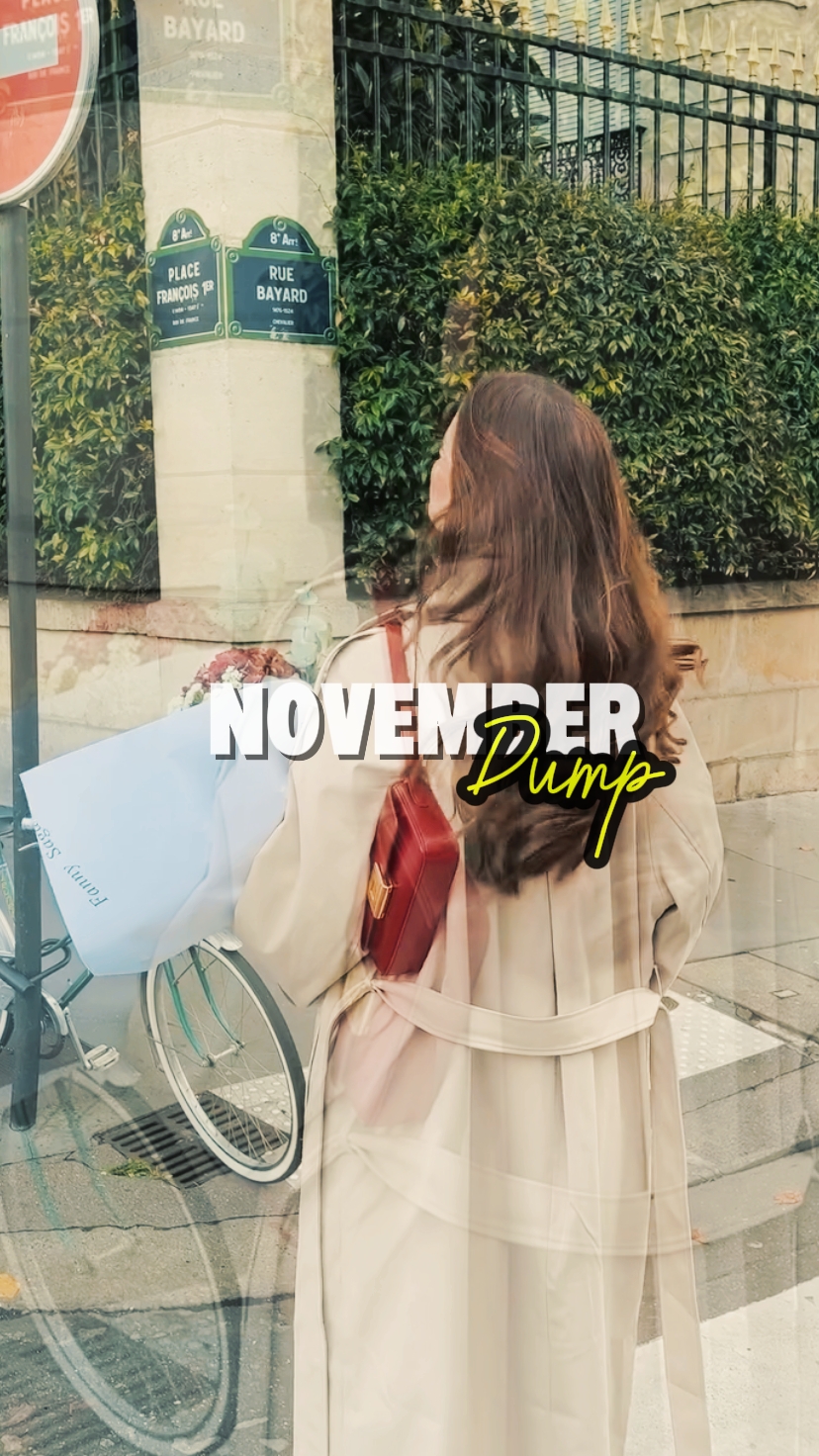 NOVEMBER DUMP 2025