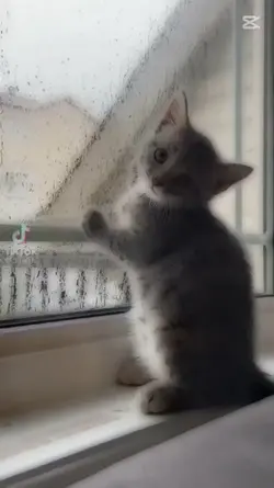 sper ca e de ajutor!