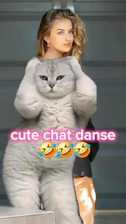 chat cute danse 