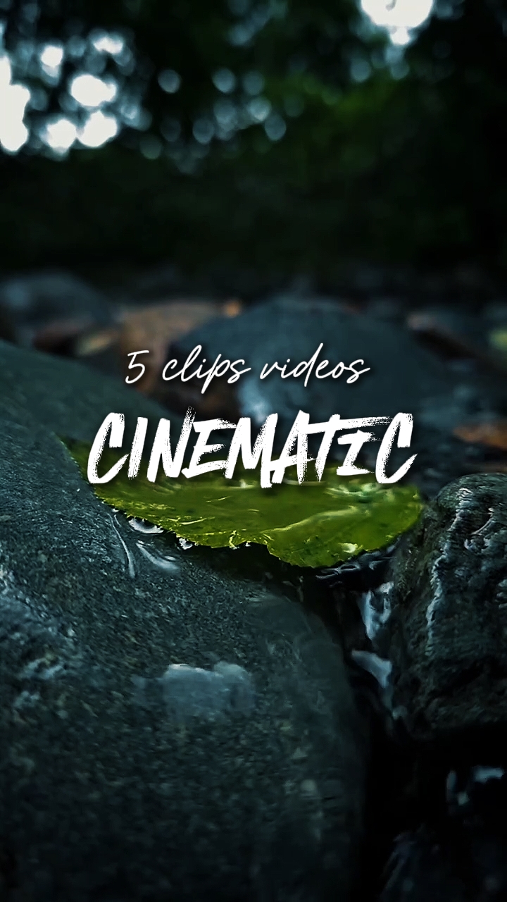 5 clipes vídeos 