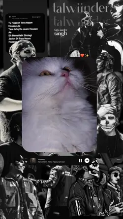 Tu hasen tera nam 🫠