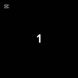 오랜만에 캡컷 하네용