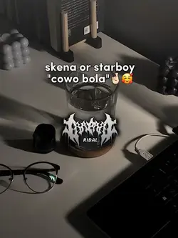 skena or starboy