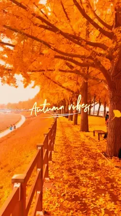 AUTUMN VIBES