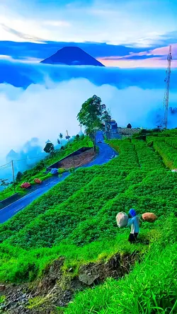 Suasana Desa