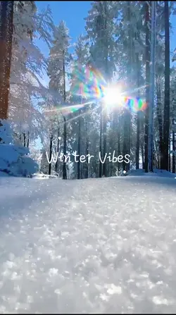 Winter vibes