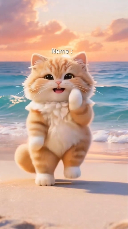 tatlı kedi