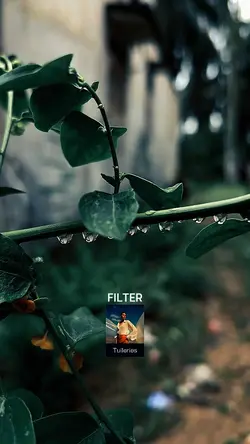 Filter Tuilerie