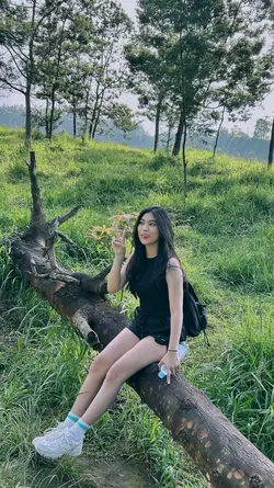 aesthetic