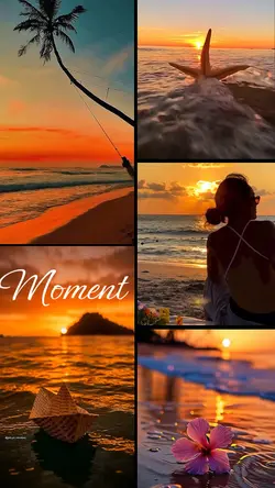 Moment Vlog