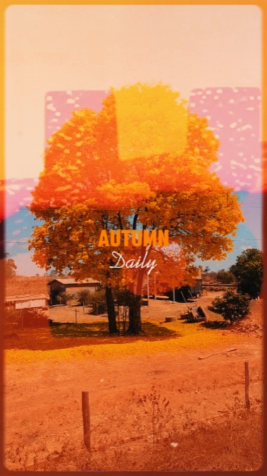 autumn daily